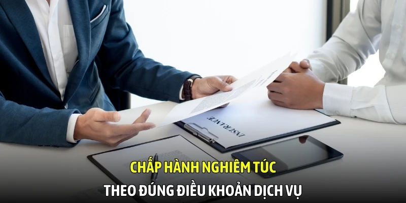 Chấp hành nghiêm túc theo đúng điều khoản dịch vụ